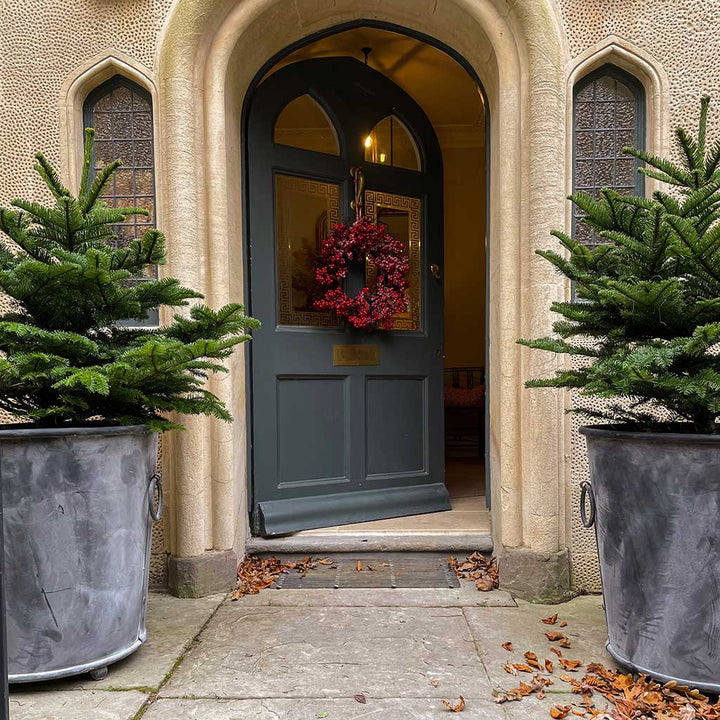 Decorative wreath on a door with potted plants on either side