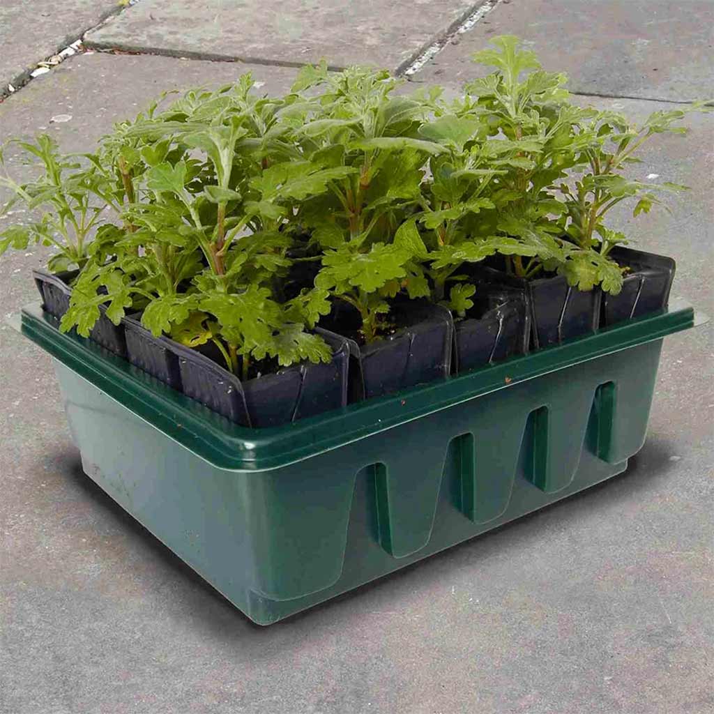 compact rapid root trainer 