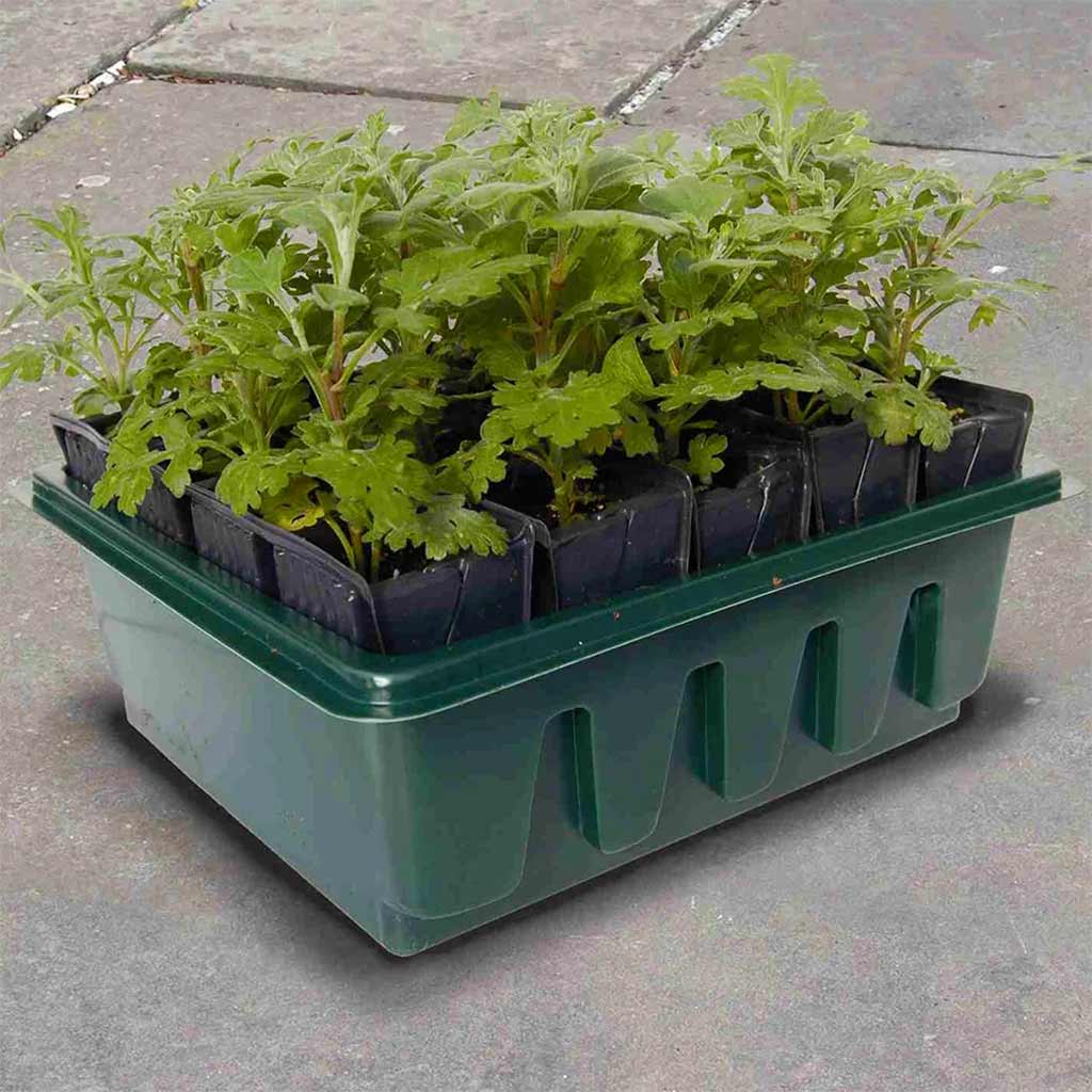 Compact Rapid Rootrainers | Agriframes – Agriframes UK