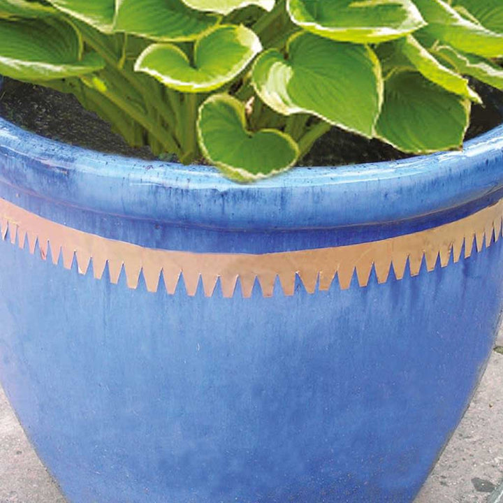 copper slug and snail tape example close up 