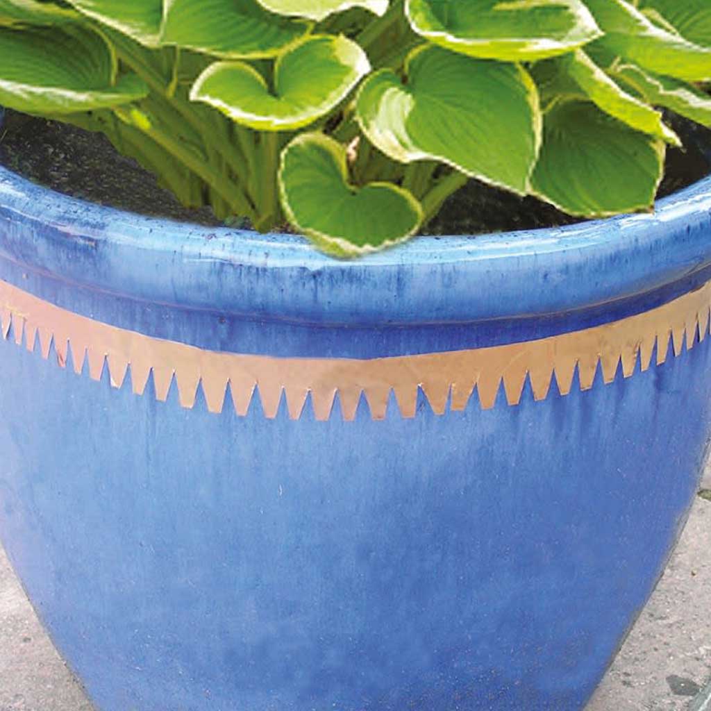 copper bands for plant pots Copper Slug and Snail Tape
