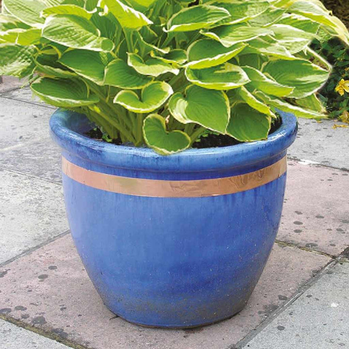 Copper slug and snail tape on blue pot 