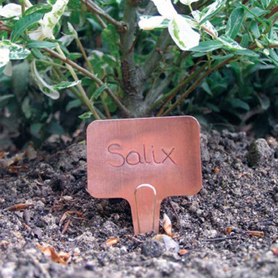 Copper T Label example in the ground 
