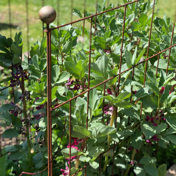 Closeup image of the Deco Panel Plant Support supporting a plant with pink flowers.