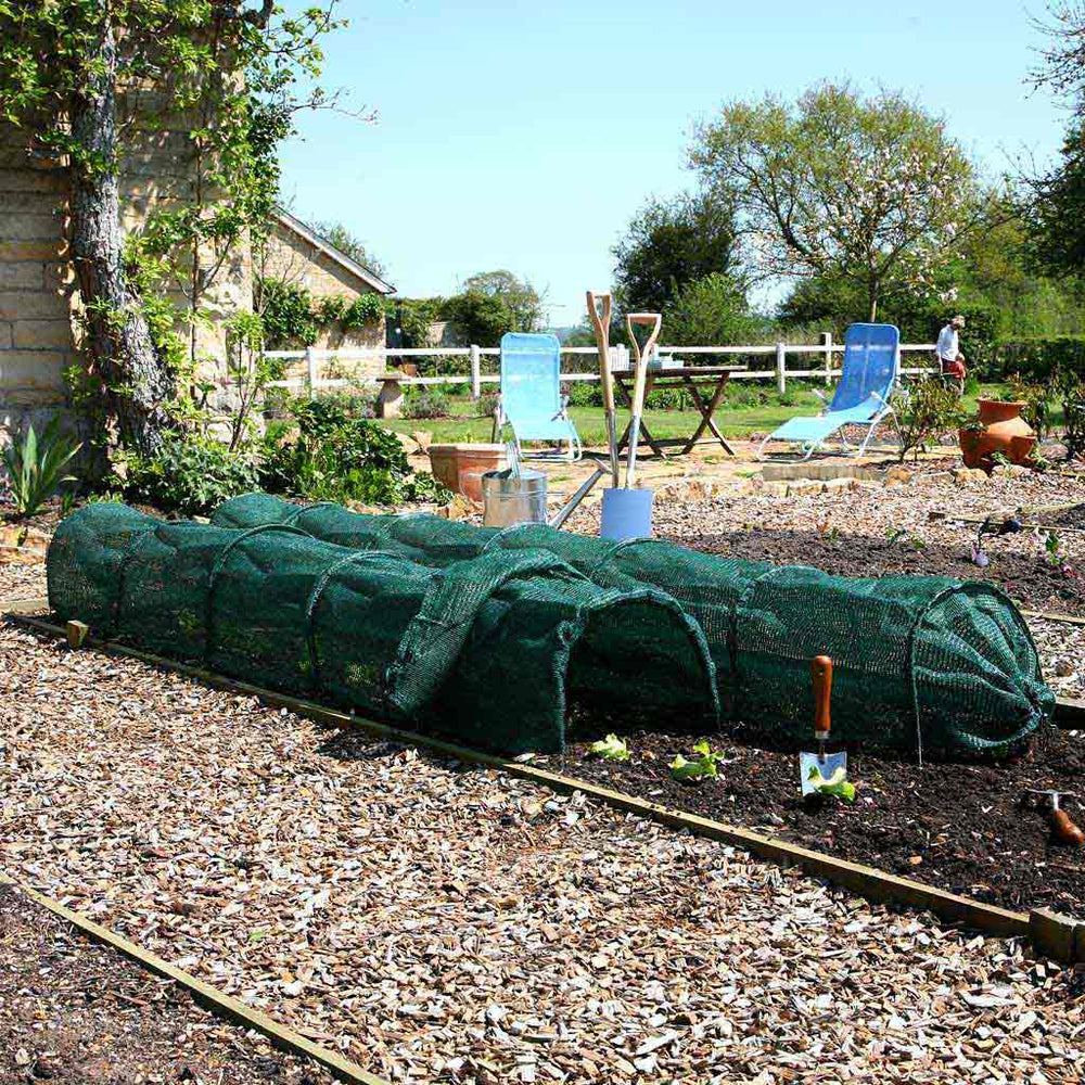 Agriframes Easy Net Tunnel installed in a soil bed in a sunny garden.