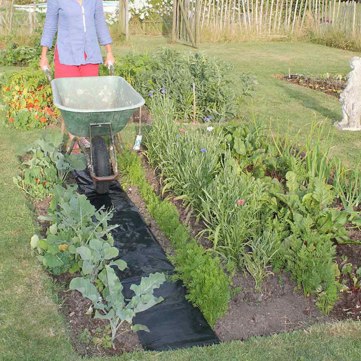 easy path in use with wheelbarrow 