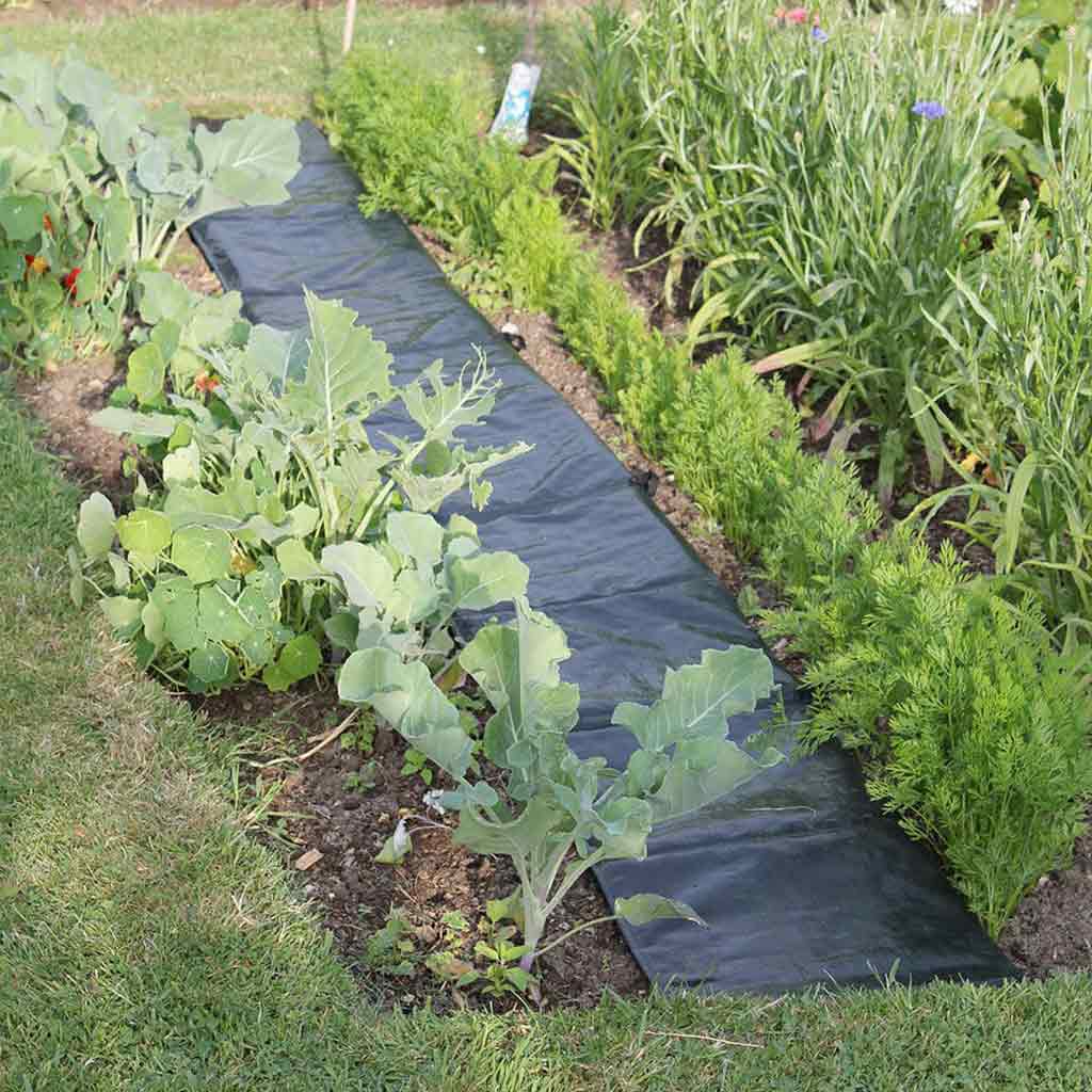 easy path example on the ground 