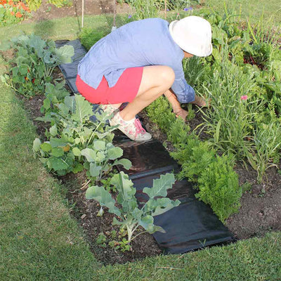 easy path in use 