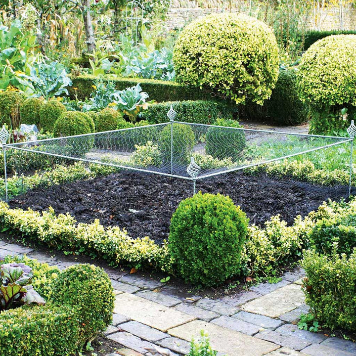 Agriframes Elegance Crop Cage with sprial finials installed in a vegetable patch in a large garden