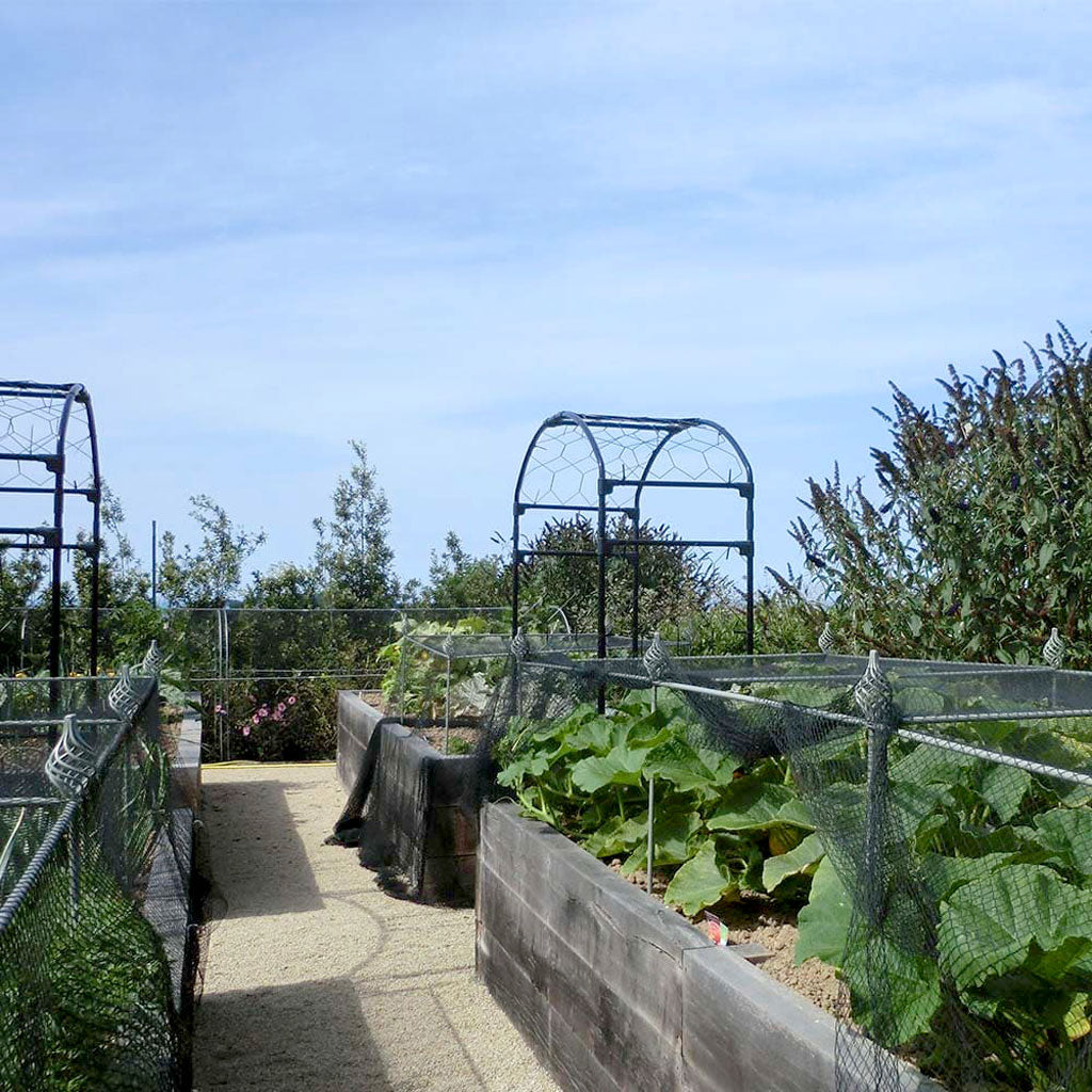 Agriframes Elegance Crop cage raised bed