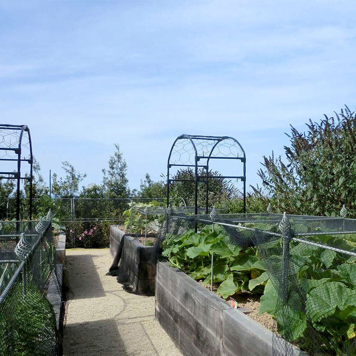 Agriframes Elegance Vegetable Cages installed on raised beds