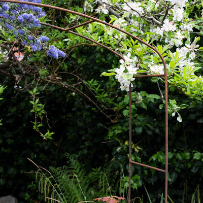 Elegance Fine Arch in rustic