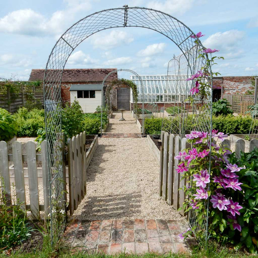 Round Plant Supports | Metal Plant Supports | Agriframes
