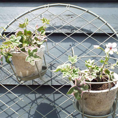 elegance trellis round with plant pots 
