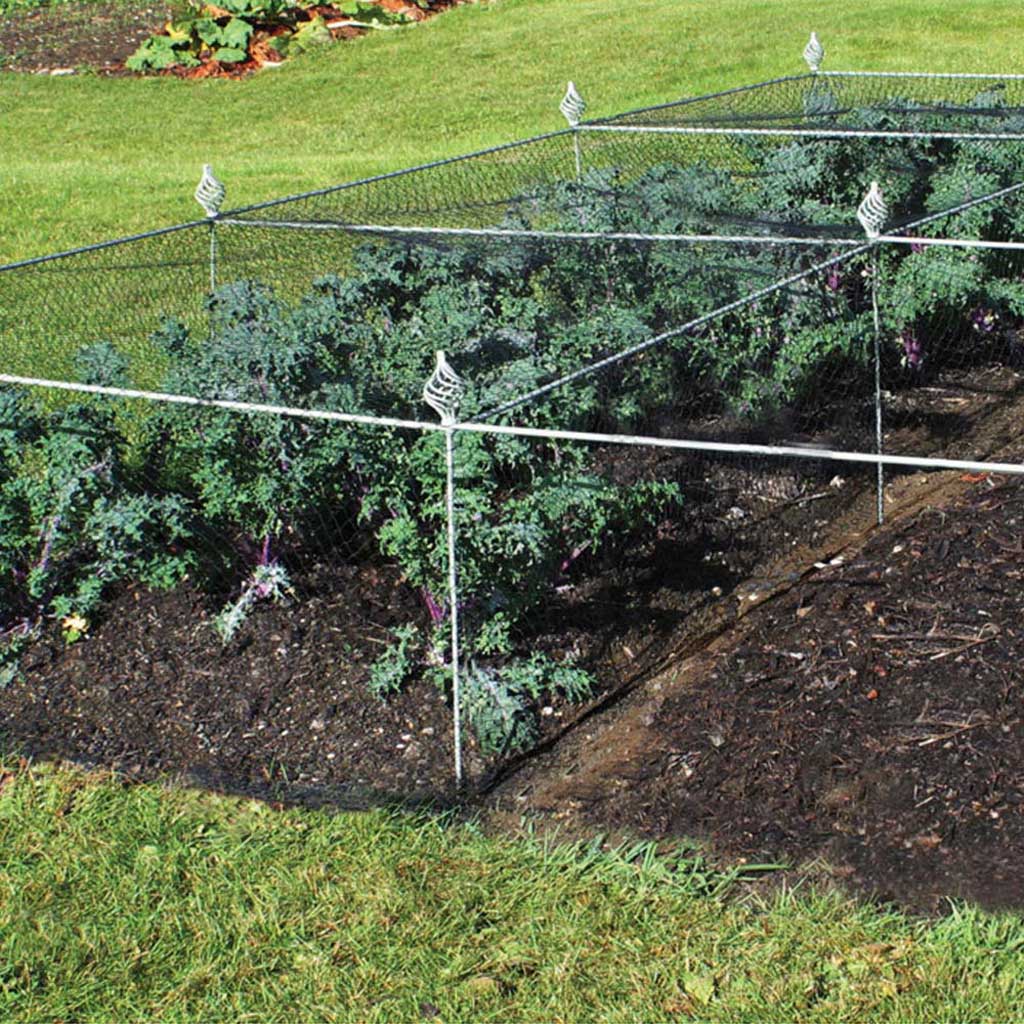 Large Agriframes Elegance Vegetable Cage with spiral finials installed over a vegetable patch