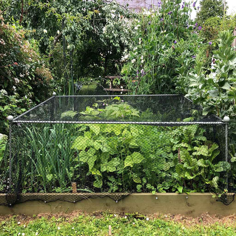 Example: Elegance Vegetable Cage Round Finial