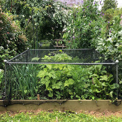 Example: Elegance Vegetable Cage Round Finial