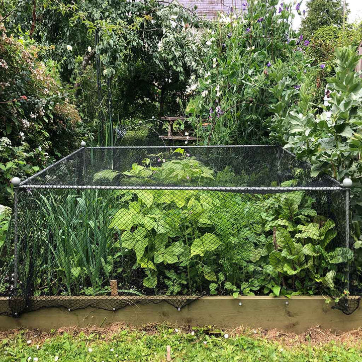 Agriframes Elegance Vegetable Cage with round finials installed in a raised bed with various vegetable plants growing beneath it