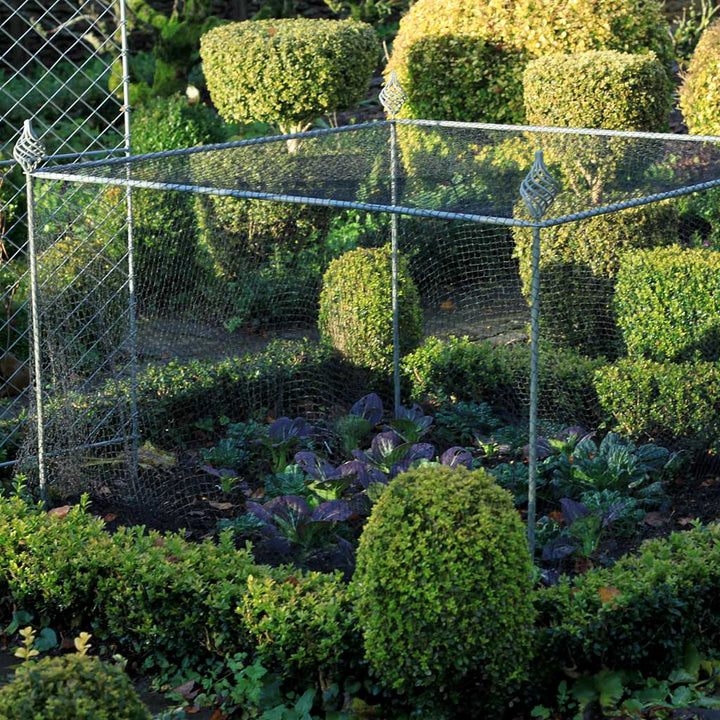 Agriframes Elegance Vegetable Cage with spiral finials installed over a vegetable patch in a large garden
