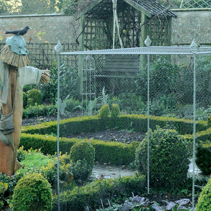 Tall Agriframes Elegance Vegetable Cage with sprial finials installed over a vegetable patch next to a scarecrow in a large garden