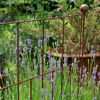 elegance pea and pest fence in rustic colour in use in a garden 