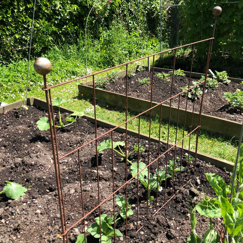 elegance pea and pest fence in rustic colour in use in a garden 