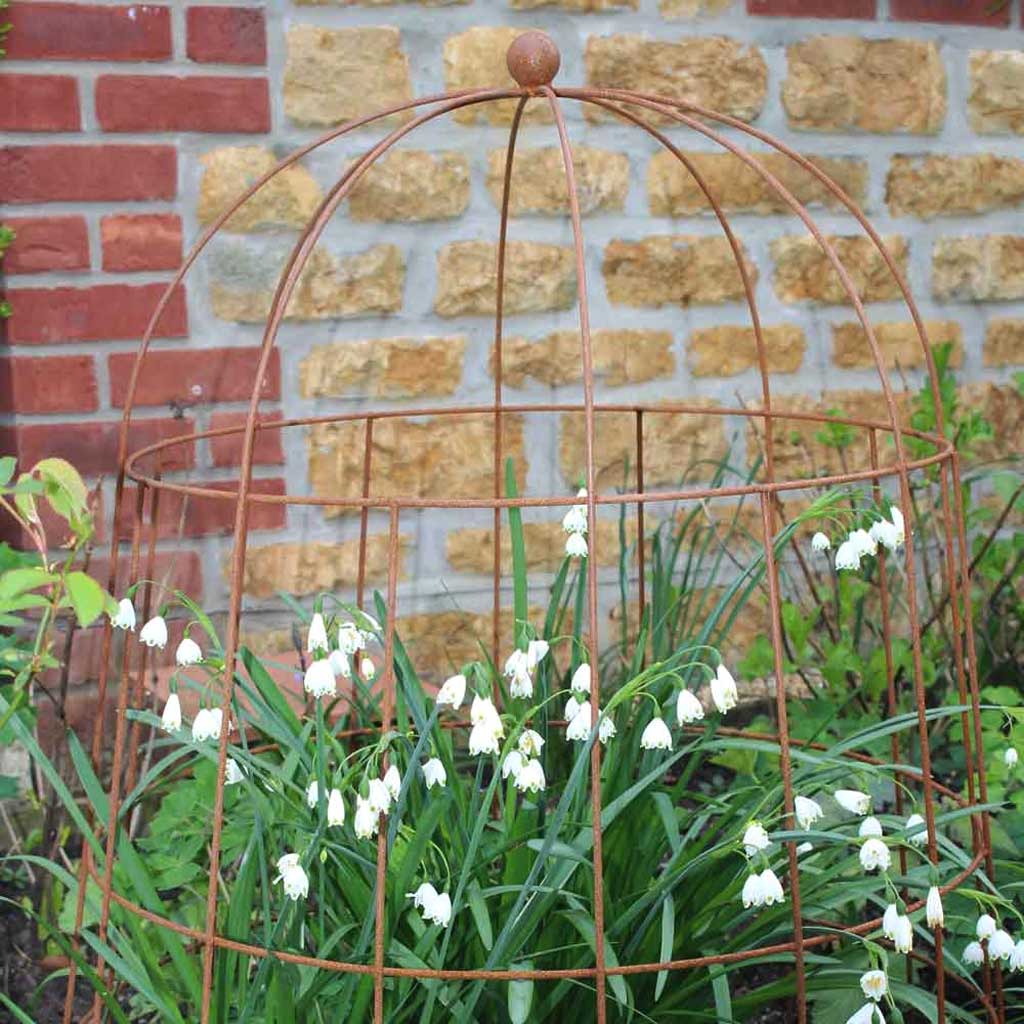 Agriframes Elegance Bell Cloche rustic colour in a garden 