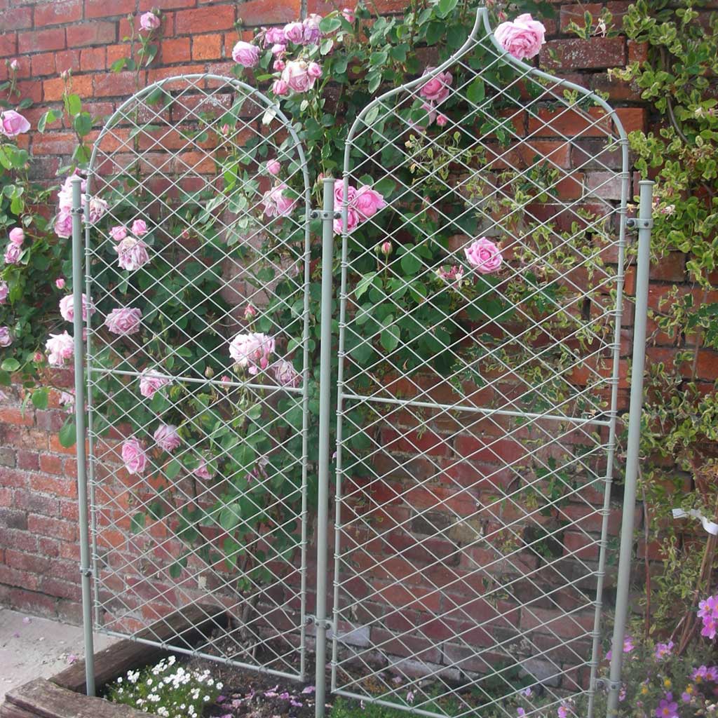 Elegance Screens - pair in use on flowerbed-agriframes