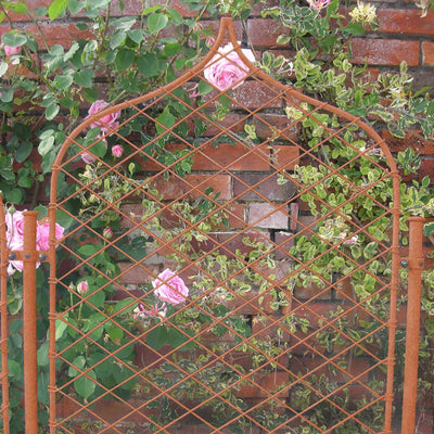 Elegance Gothic Screens