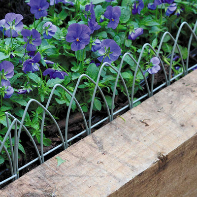 Elegance Lawn Edging- on raised bed agriframes