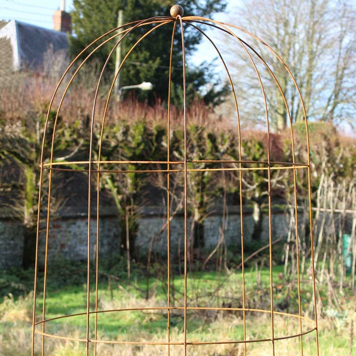 Elegance runner bean tower in use colour option rustic in use in a garden 