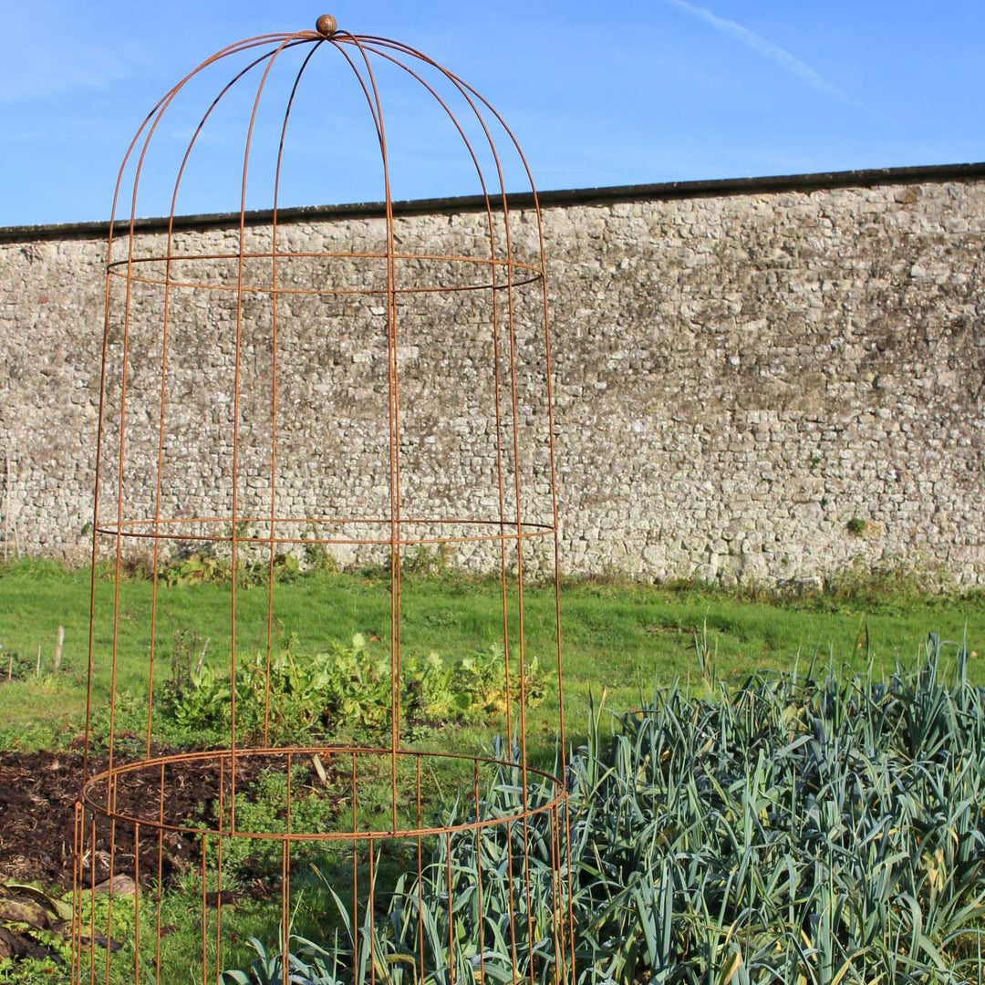 elegance runner bean tower in use in a garden 