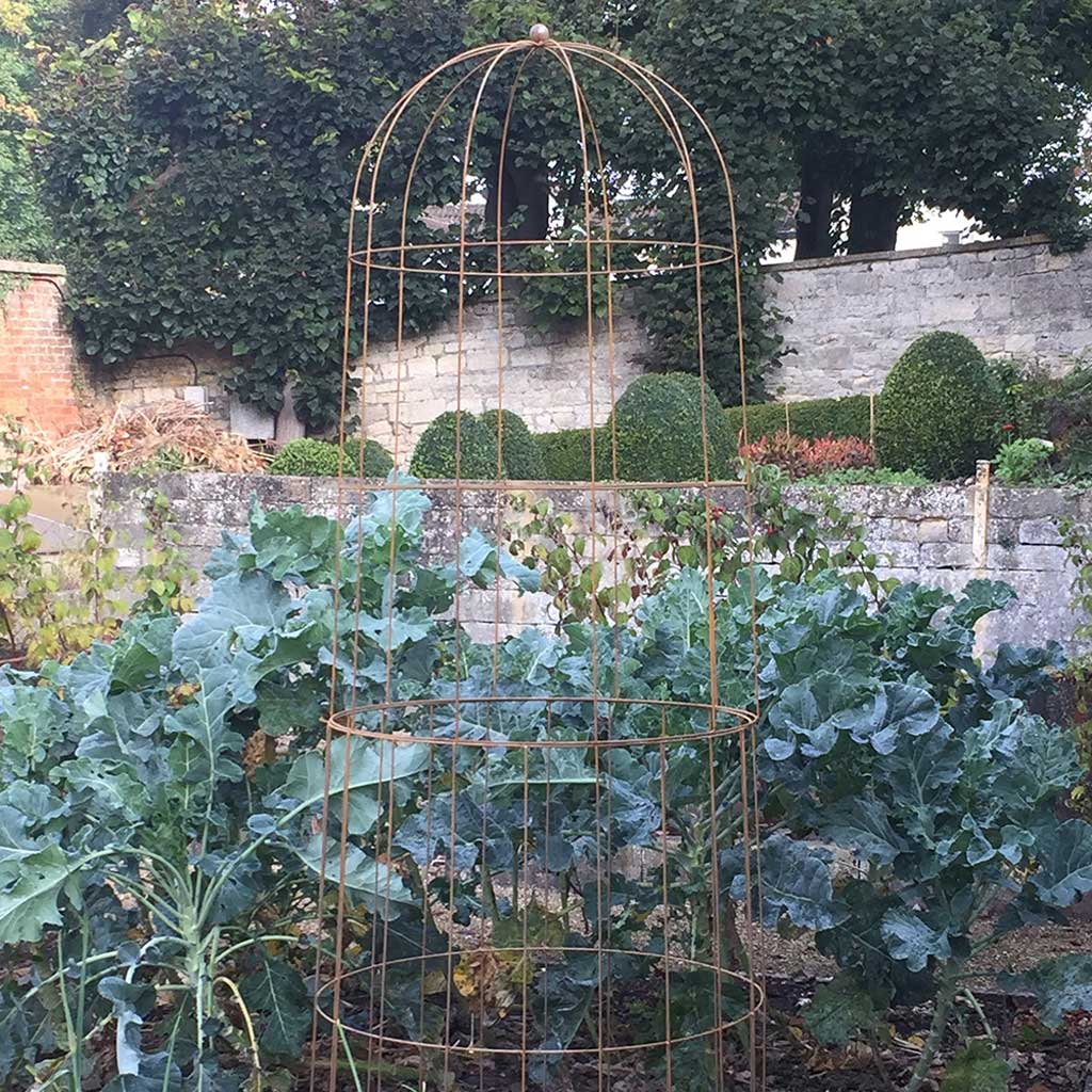 elegance runner bean tower in use in a garden example 