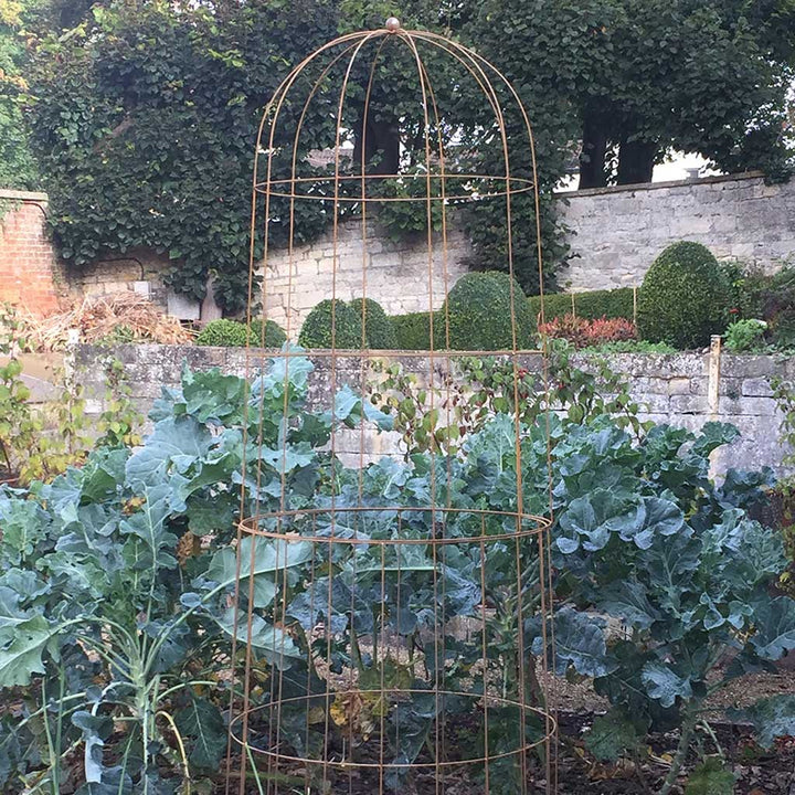 elegance runner bean tower in use in a garden example 