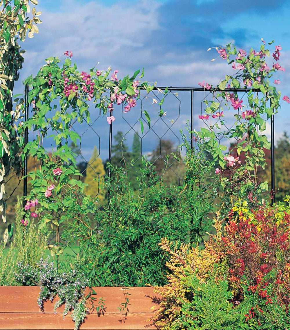 Agriframes fencing screen in matt black with pink flowers growing on it
