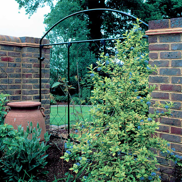 fencing screen in garden