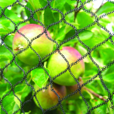 fruit pond netting close up near apples 