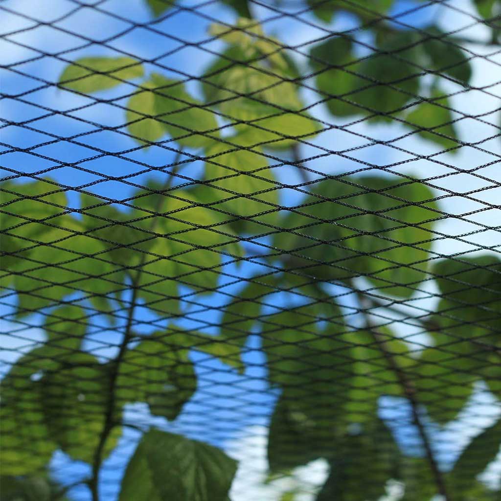 Fruit Cage Roof Net | Fruit Cages | Agriframes