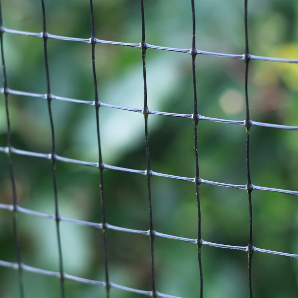 fruit cage side net close up 