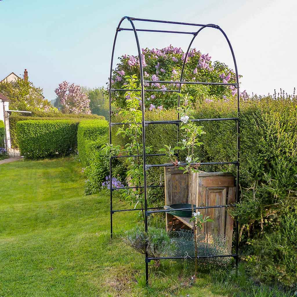 Fruit Tree Arch