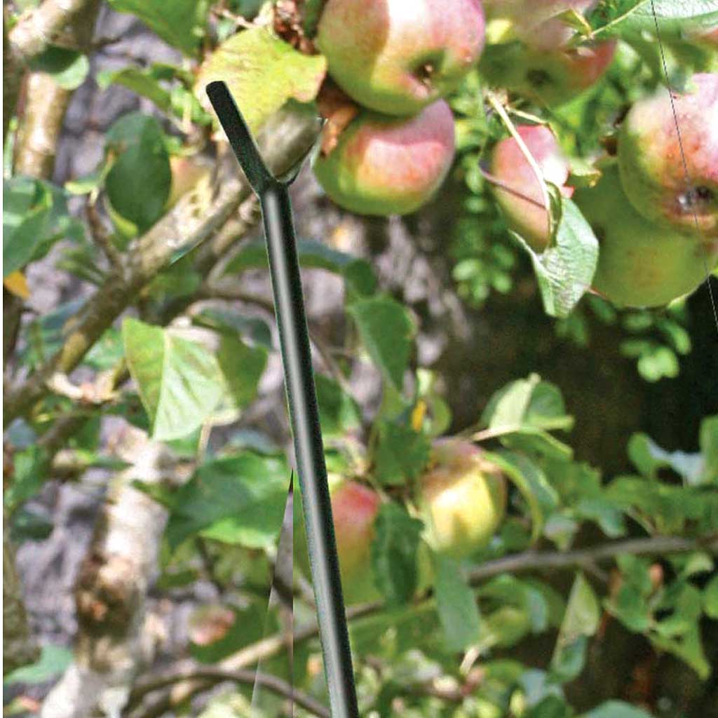 Tree Support Branch String Fruit Branch Support | Plant Frames And Supports | Agriframes ...