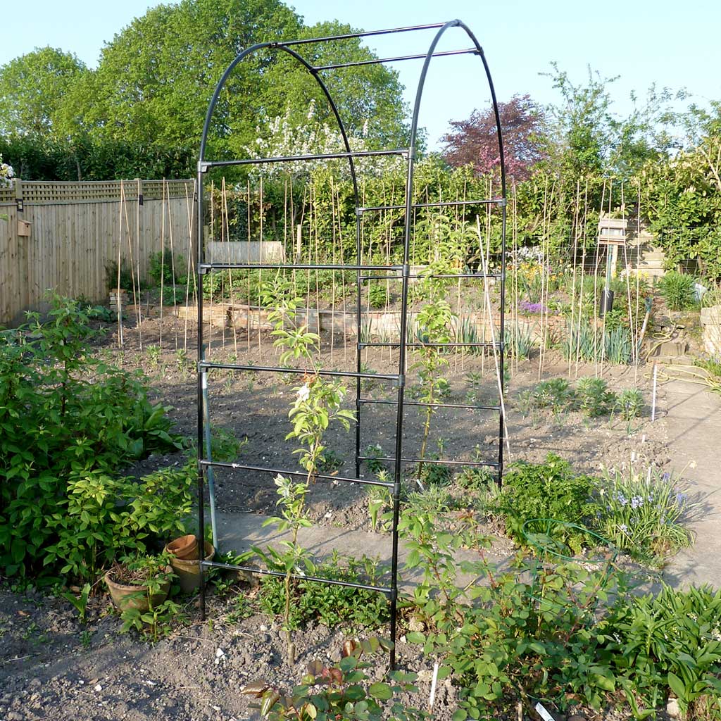 Fruit Tree Arch-in veg patch - agriframes