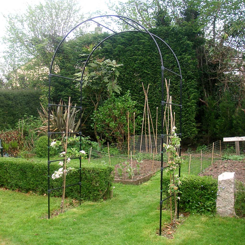 Fruit Tree Arch- in veg garden agriframes