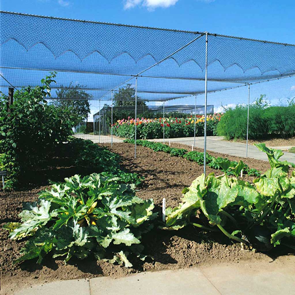 Galvanised Fruit Cage-large wide shot- agriframes