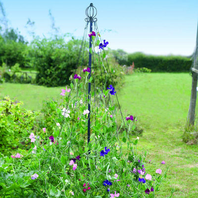 Garden Maypole