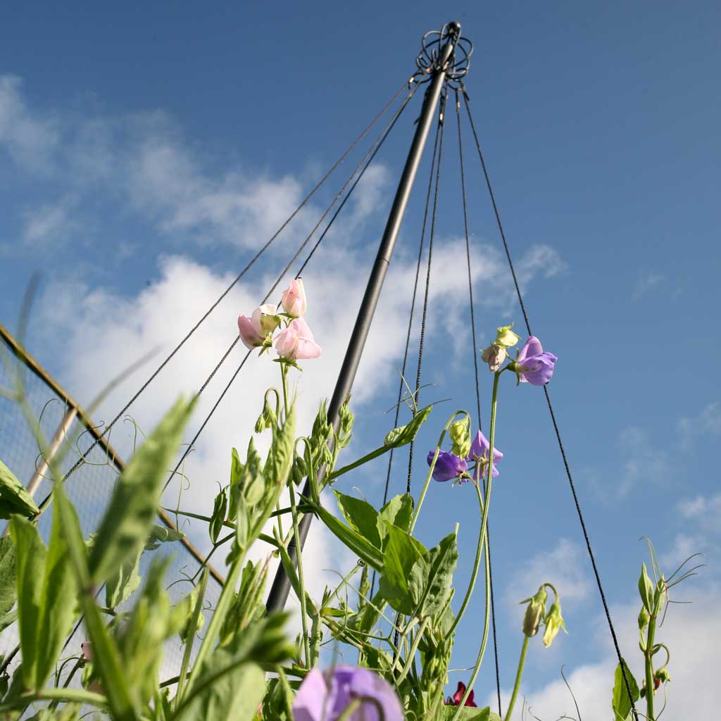 Garden Maypole