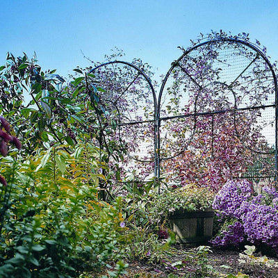 Georgian Round Top Garden Screen | Garden Screens | Agriframes