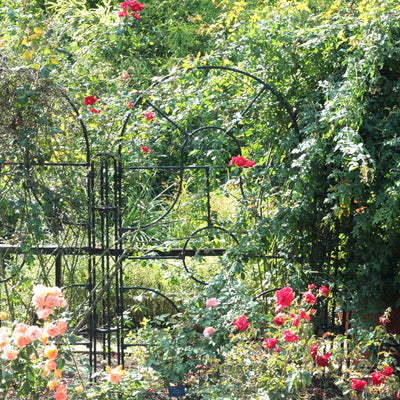 eorgian Round Top Garden Screen- in use in garden- agriframes