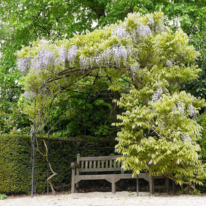Gothic Bower-with bench