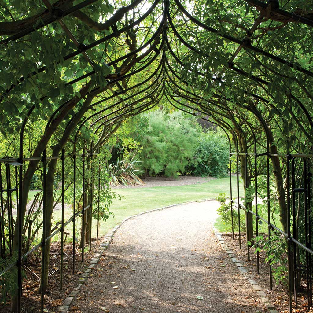 Gothic Pergola With Lattice